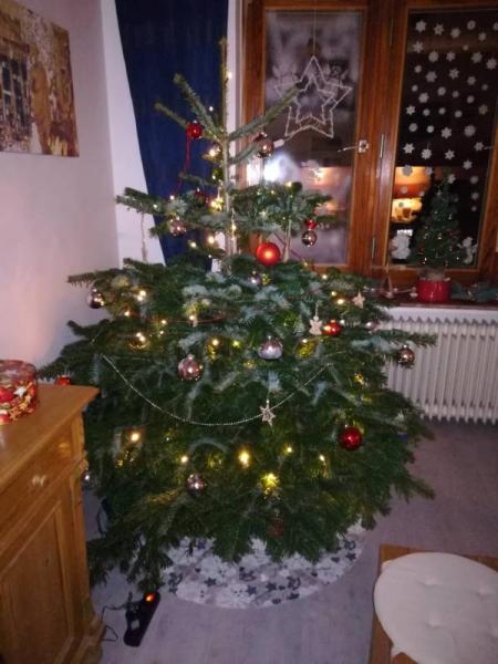 Bild zu Nochmal was "schönes" unser Weihnachtsbaum - Baby Forum - Allgemeine Themen