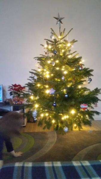 Bild zu