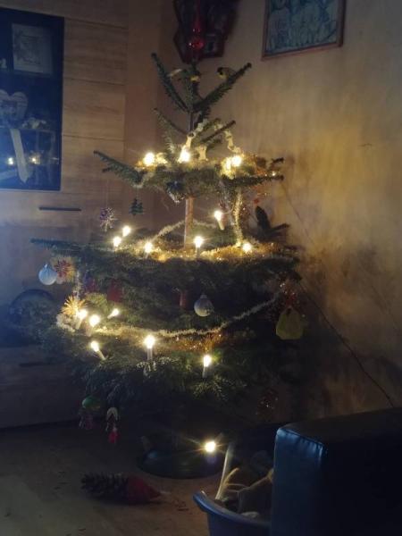 Bild zu