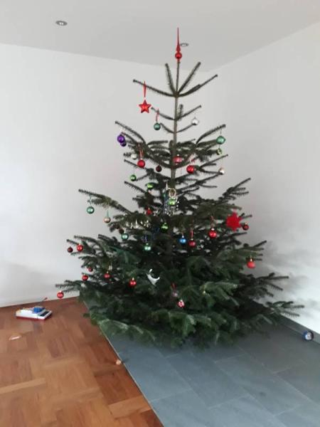 Bild zu