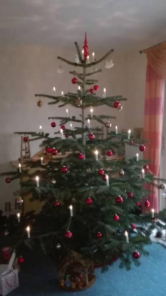 Bild zu