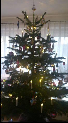 Bild zu