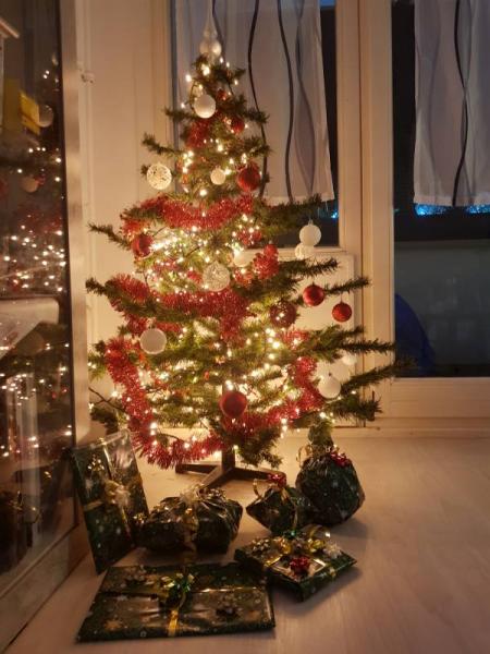 Bild zu