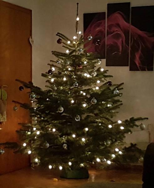 Bild zu