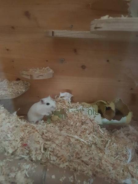 Bild zu
