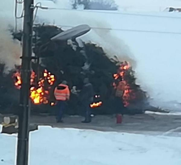 Bild zu Na das ist mal ein lagerfeuer - Baby Forum - Allgemeine Themen