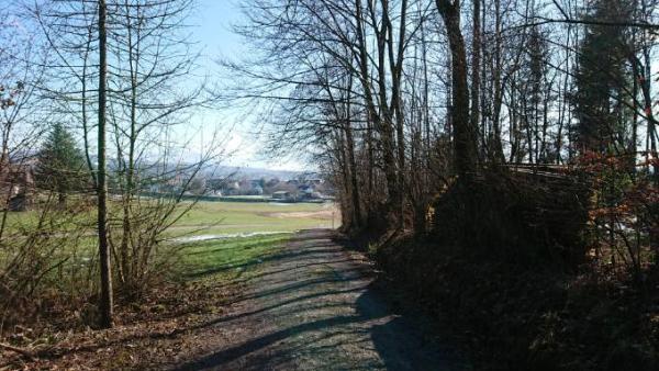 Bild zu