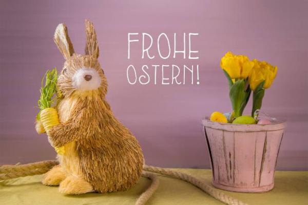 Bild zu 