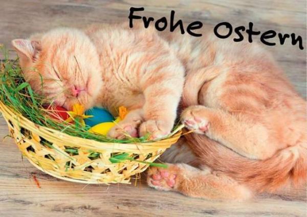 Bild zu 