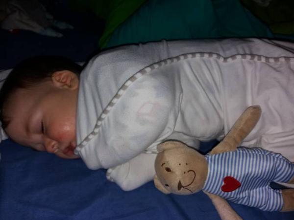 Bild zu