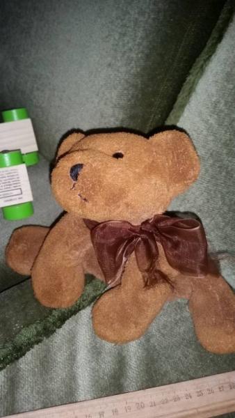 Bild zu Teddysuche - Baby Forum - Allgemeine Themen