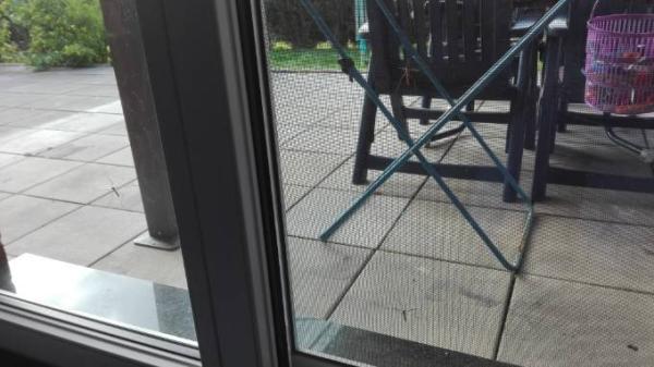 Bild zu Woran man erkennt, das der Herbst kommt... - Baby Forum - Allgemeine Themen