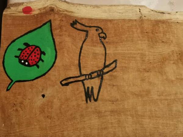 Bild zu 