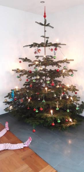 Bild zu 