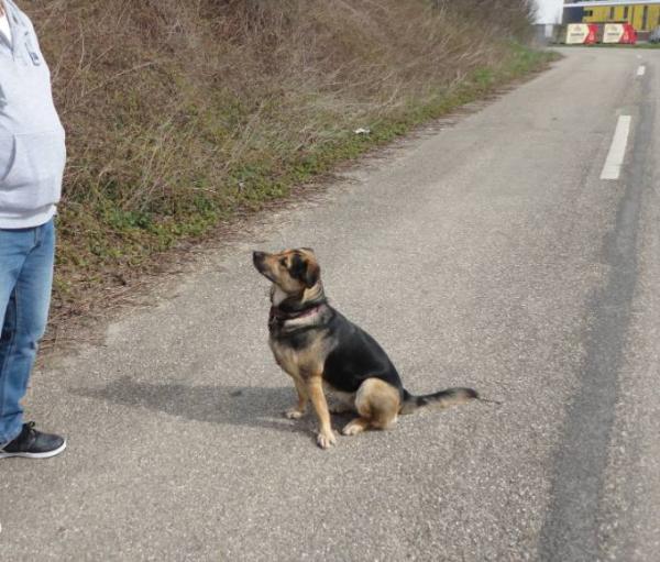 Bild zu 