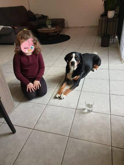 Bild zu Kinder... :-) - Baby Forum - Allgemeine Themen