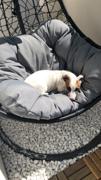 Bild zu Der Frühling ist da ❤️ - Baby Forum - Allgemeine Themen