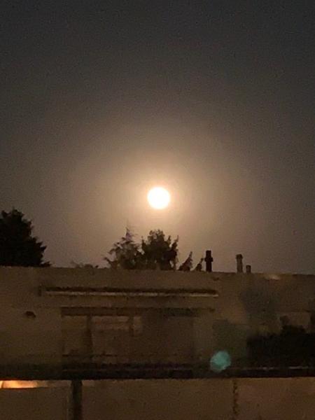 Bild zu Seht ihr den tollen Mond?! - Baby Forum - Allgemeine Themen