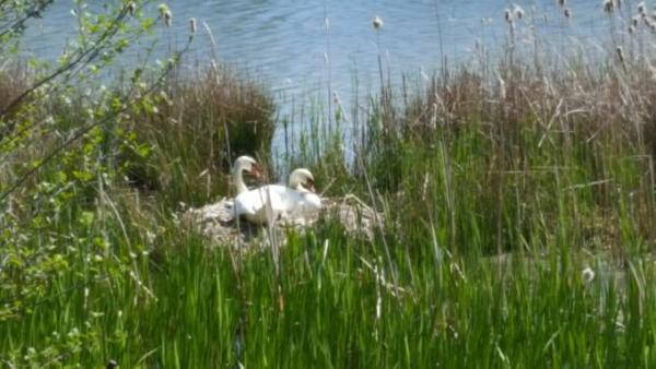 Bild zu Natur pur - Baby Forum - Allgemeine Themen