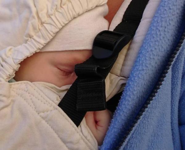 Bild zu Tagschlaf - nur in der Trage oder im Arm - Baby Forum - Allgemeine Themen