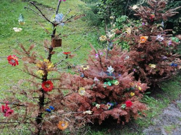 Bild zu So geht's auch - Baby Forum - Allgemeine Themen