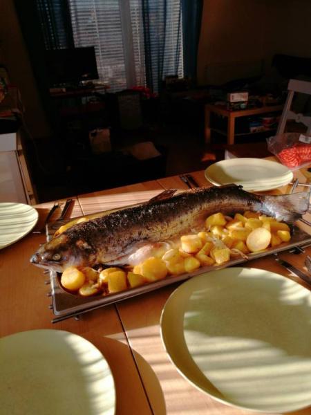 Bild zu 