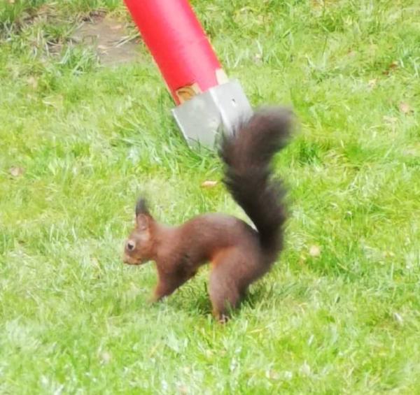 Bild zu 