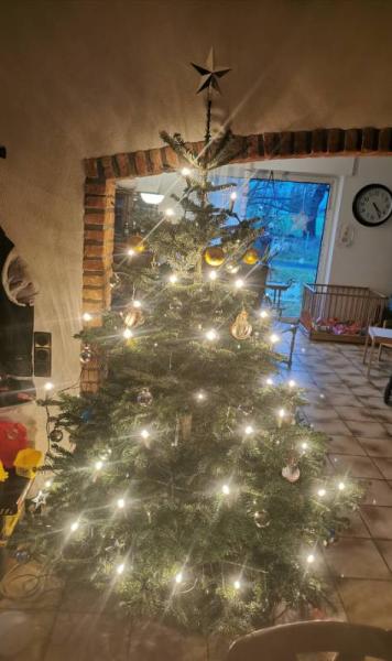 Bild zu Unser Baum steht - Baby Forum - Allgemeine Themen