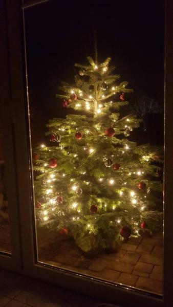 Bild zu 