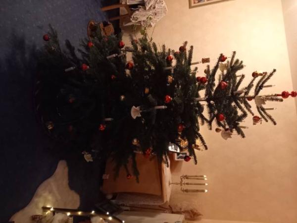 Bild zu 
