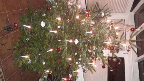 Bild zu 