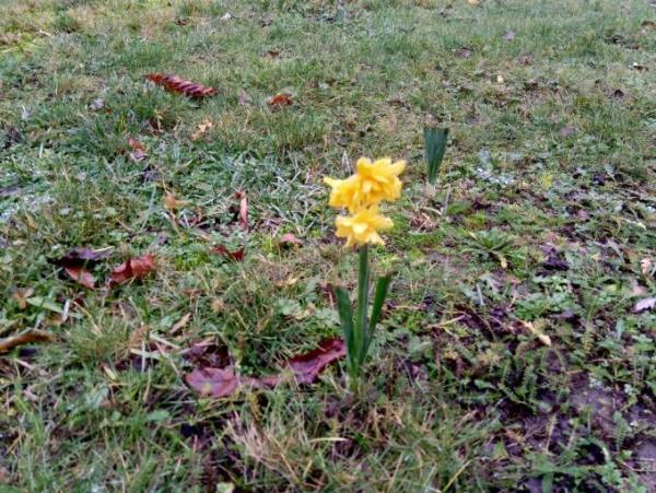 Bild zu 