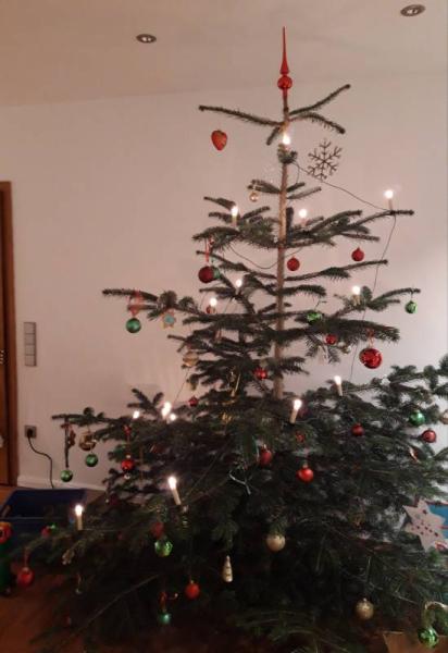 Bild zu 