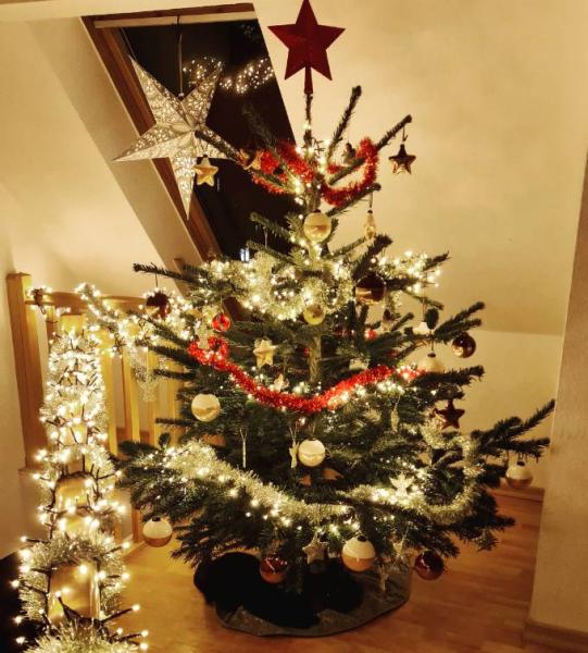 Bild zu 