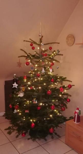 Bild zu 