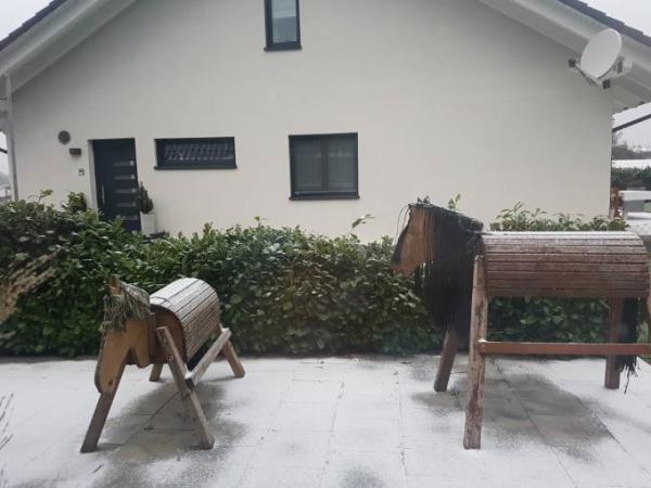 Bild zu 