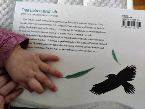 Bild zu