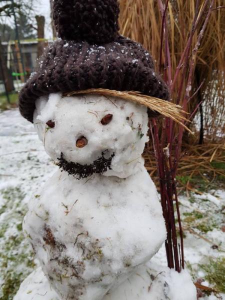 Bild zu Schnee - kann ich die Nachbarn verklagen, wenn sie - Baby Forum - Allgemeine Themen