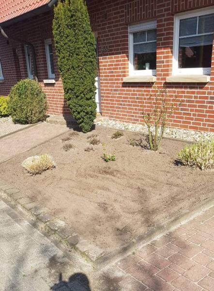 Bild zu An die Garten Profis - Vorgarten - Baby Forum - Allgemeine Themen