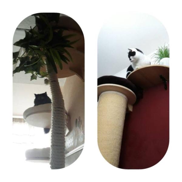 Bild zu 