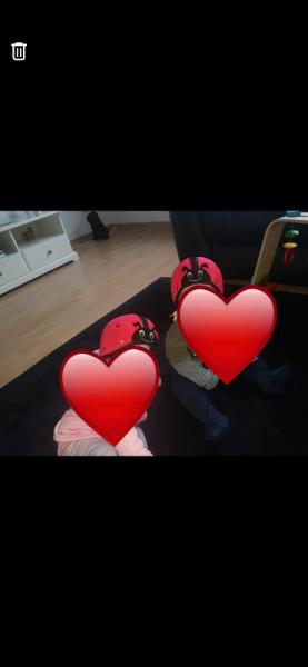 Bild zu 