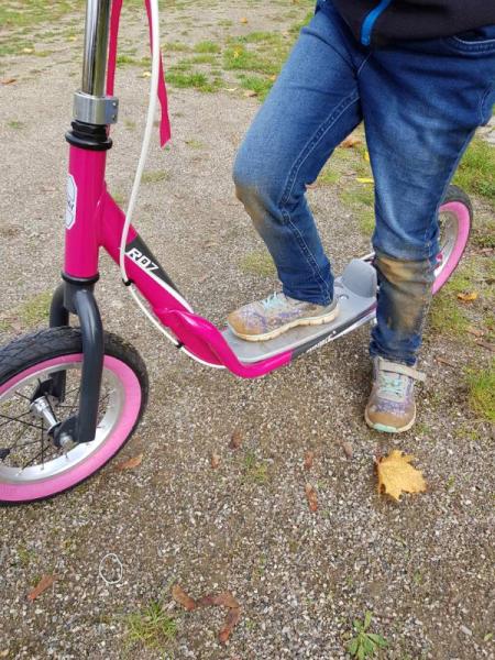 Bild zu