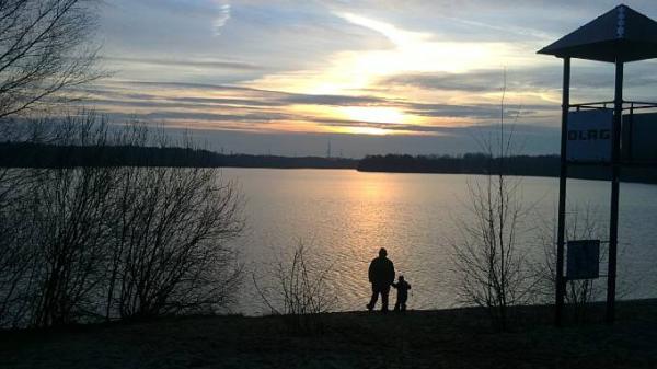 Bild zu 
