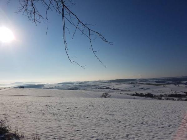 Bild zu 