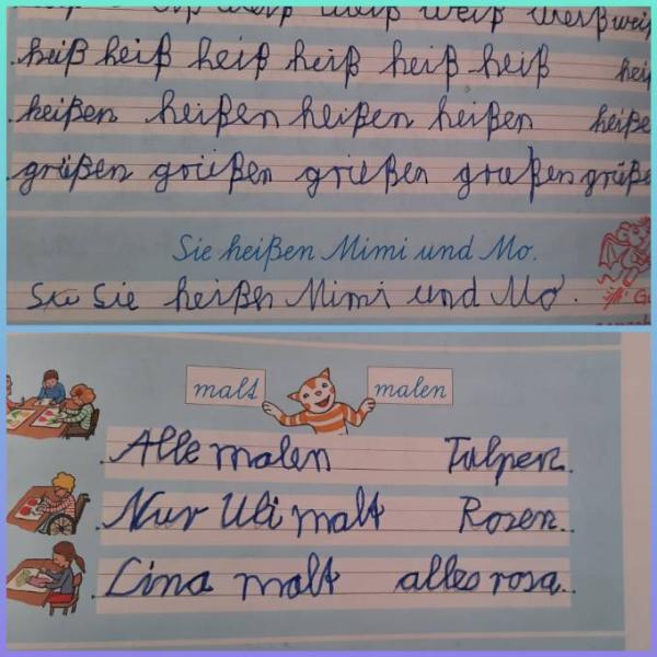 Bild zu