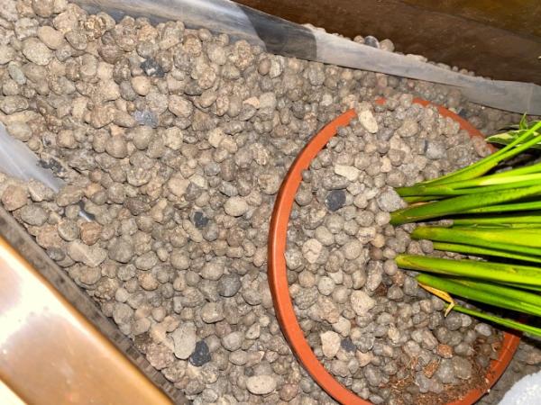 Bild zu Was ist das ? - Baby Forum - Allgemeine Themen
