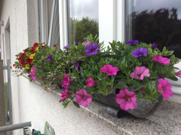 Bild zu 