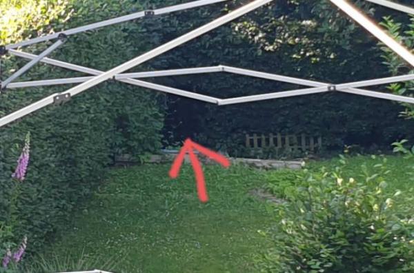 Bild zu 