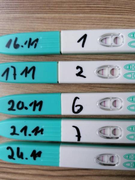 Bild zu Ovu Test - Baby Forum - Allgemeine Themen