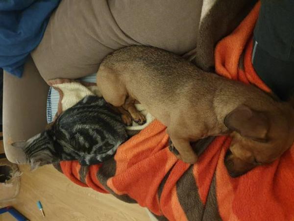 Bild zu 